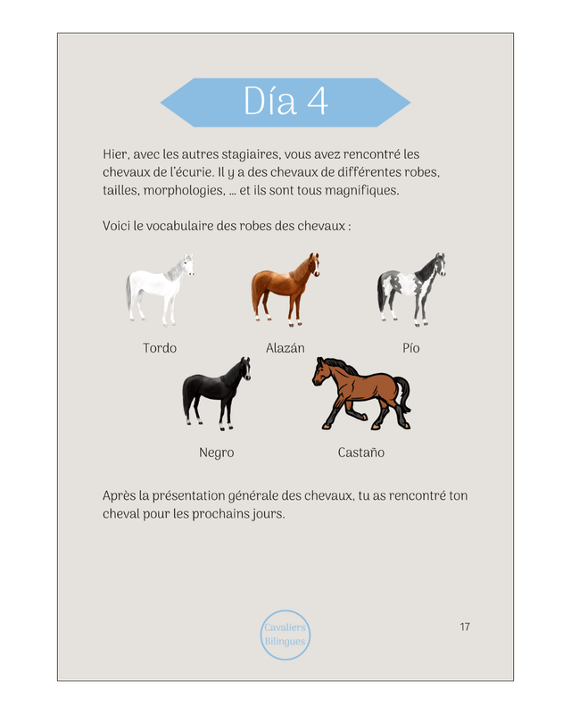 Direction l'Espagne - Cahier de vacances espagnol-équitation