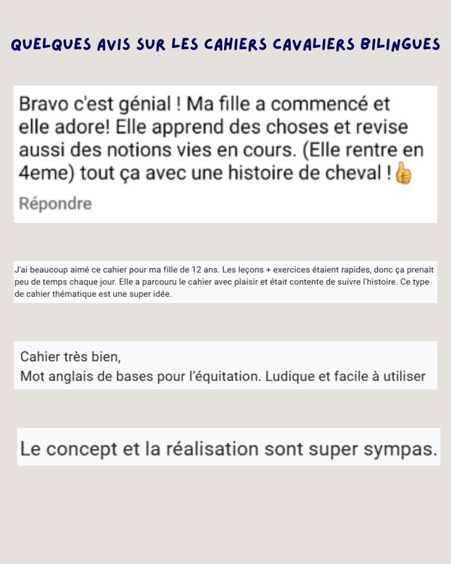 Direction l'Irlande - Cahier de vacances anglais-équitation
