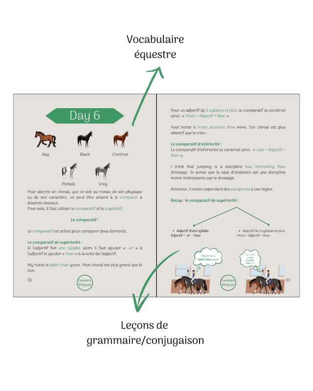 Direction l'Irlande - Cahier de vacances anglais-équitation