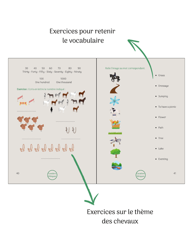 Direction l'Irlande - Cahier de vacances anglais-équitation