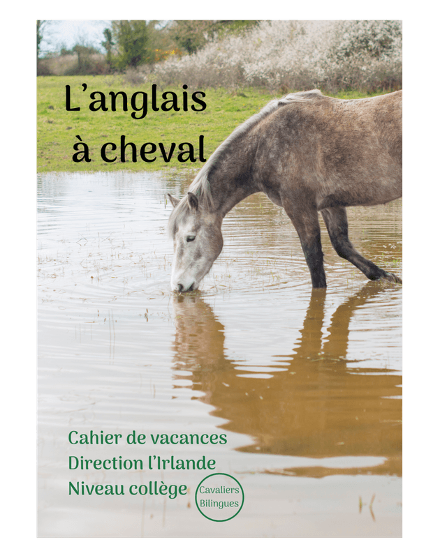Direction l&#039;Irlande - Cahier de vacances anglais-équitation